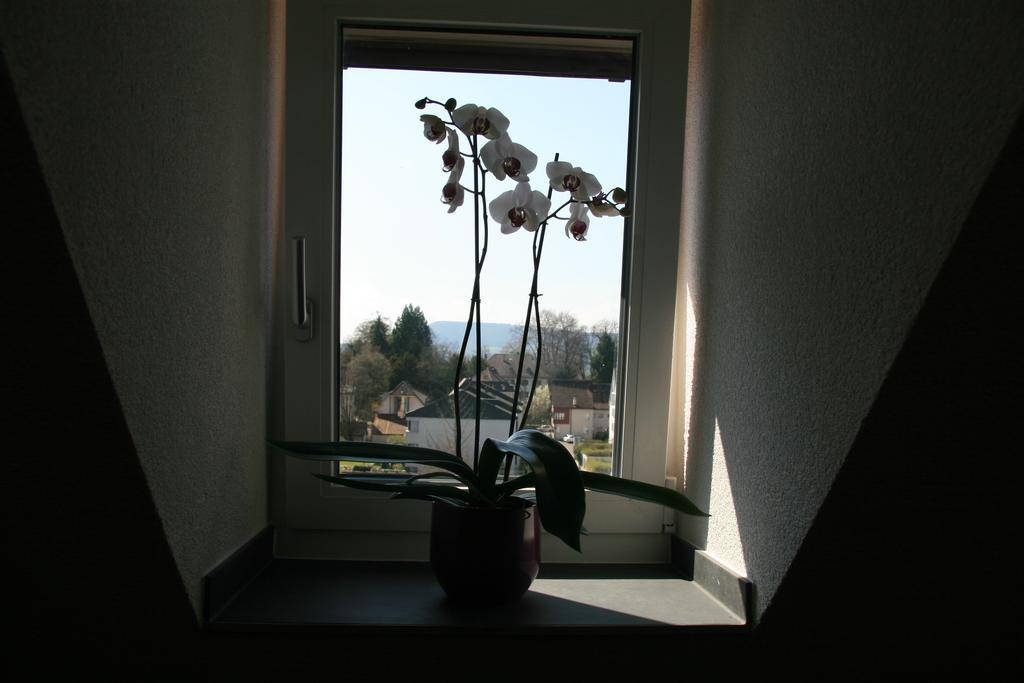 Hotel Eremitage Arlesheim Bagian luar foto